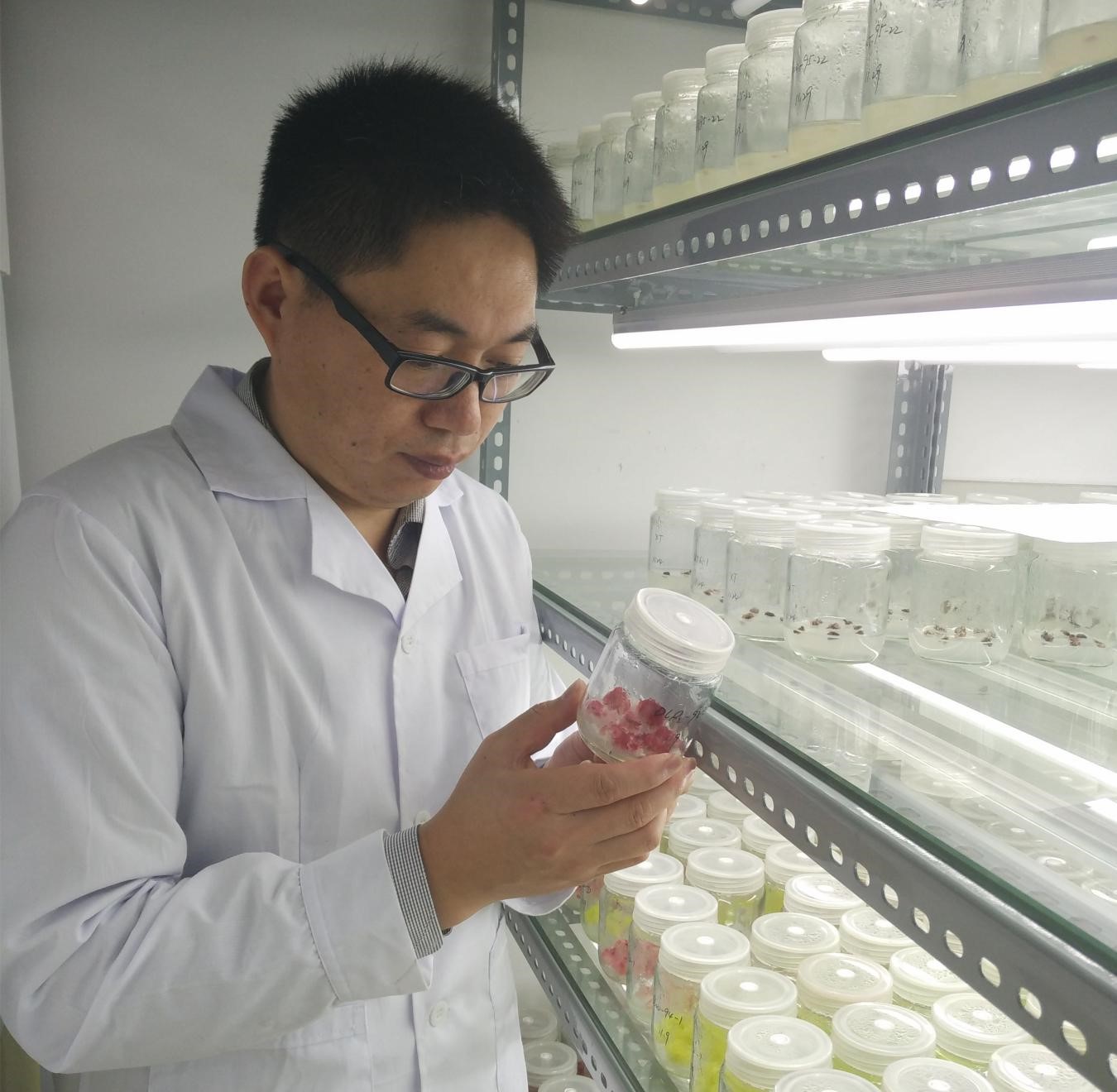 ������Ƭ1