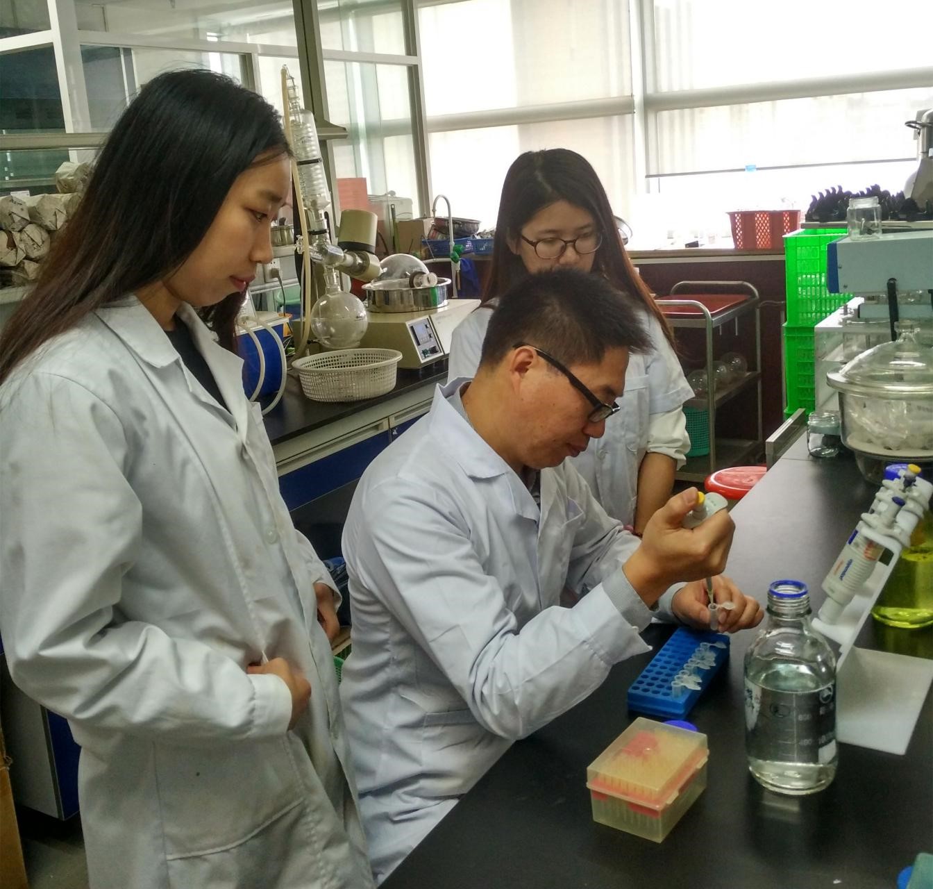 ������Ƭ2